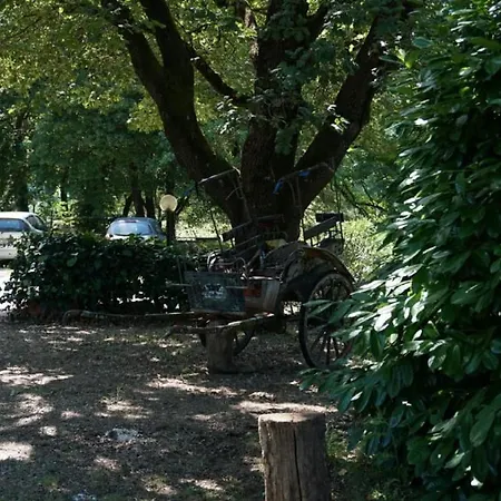 Scappo In Umbria, La Escondida * アメリア
